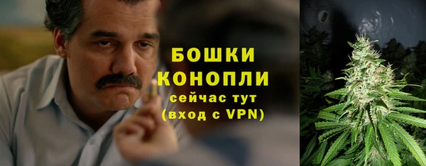 шишки Алексин