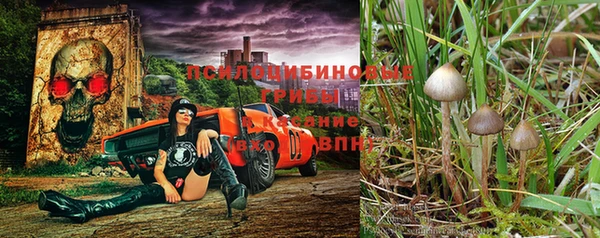 шишки Алексин