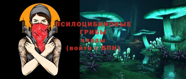 spice Абинск