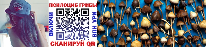что такое наркотик  KRAKEN ссылка  Псилоцибиновые грибы прущие грибы  Лиски 